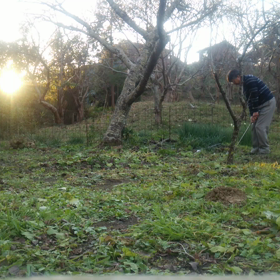 ゴルフの楽しさとはの画像