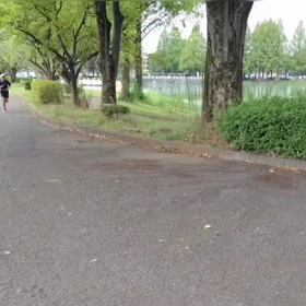 ミニ駅伝（中間点付近）⑨の画像