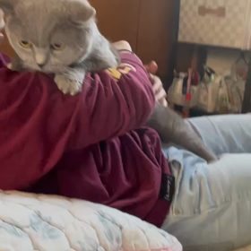 穏やか〜なGWの画像