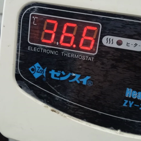 マズイ！！！の画像