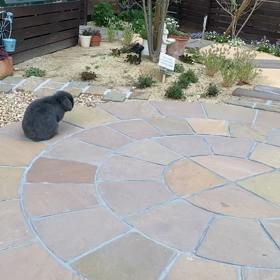 庭んぽ　みなと君の画像