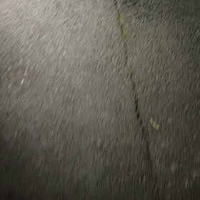 たさあ　あさか　あさかの画像