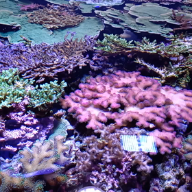 新潟市水族館【マリンピア日本海】への画像