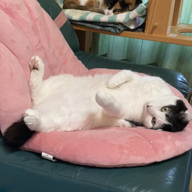 新しいスタイルの画像