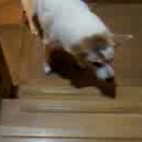 寒い(--;)の画像