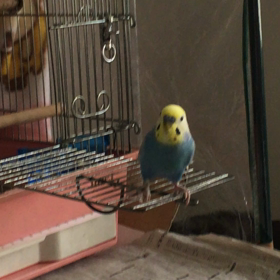 おはよっ❤️の画像