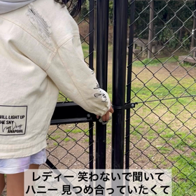 Ladyの画像