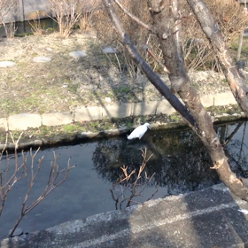 逃げないで！初動画投稿の画像