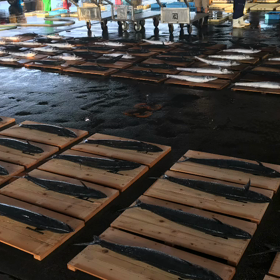 豊浜朝市の様子！穴子がダイヤモンド！？の画像