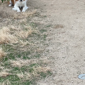 泣いた日の画像