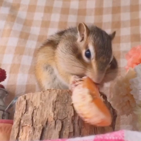 ナイスキャッチ♪の画像