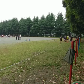 6月18日 走り幅跳び②の画像
