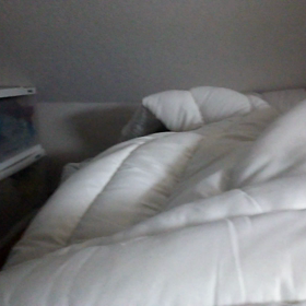 いつもは足元にいるの画像