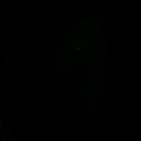 今日もやってきたの画像