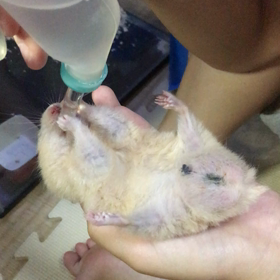 ネタ切れなので。の画像