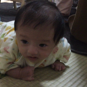 がんばれがんばれ！の画像