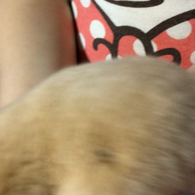 可愛い？の画像