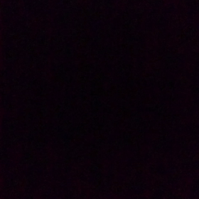 28.04.09 ホル3本目の画像