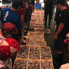 豊浜朝市  の様子！相場は全体的に高め！の画像