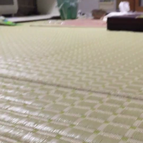 昨日のウズピー達❗の画像