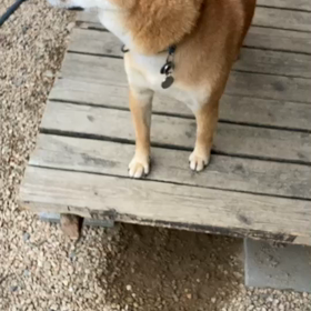 コロナ療養生活６日目の画像