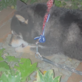 コロナワクチン接種6回目終了の画像