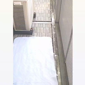 R4.7.1生まれ　トイプードル兄妹、走る。の画像