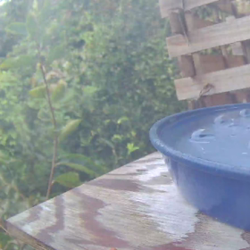 すぎぴたんの事件簿シーズン3　389話（いろいろな来客。）の画像