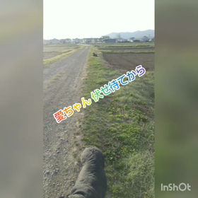 愛ちゃんと乃愛ちゃんの画像