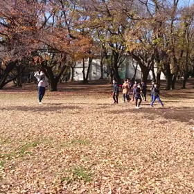 ジャベリック(記録会)③の画像