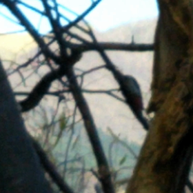 頑張れ!歌志内！の画像