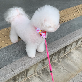 カメラ目線は嫌らしい〜☆の画像