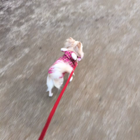 お久しぶりーの画像