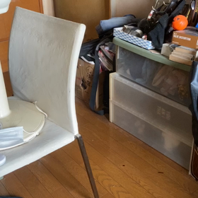 ギリギリッキーの画像