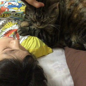 いつもよりゴロゴロの画像