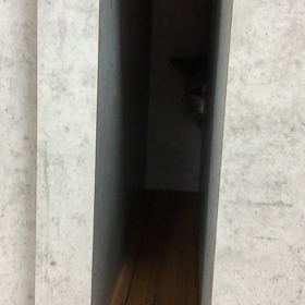 猪突猛進の画像