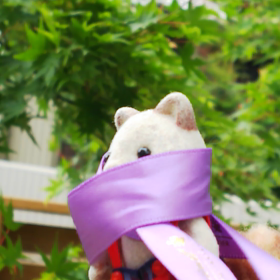 T.M.Revolutionごっこの画像