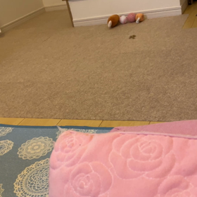 ダウンですの画像