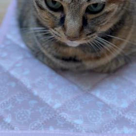 自分に合うもの探し，朝の勤務の画像