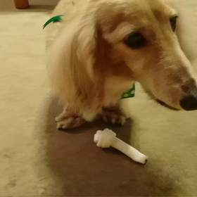 今日は疲れてないぞの画像