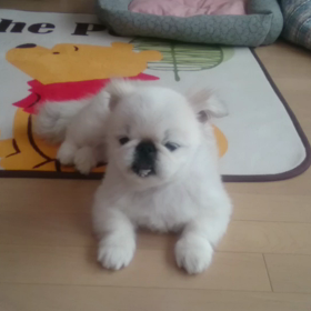 床暖房でぽかぽかの画像