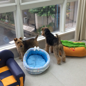 ♪プレイルーム動画♪②の画像