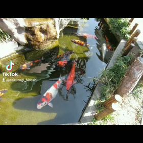 川越テクテクその４の画像