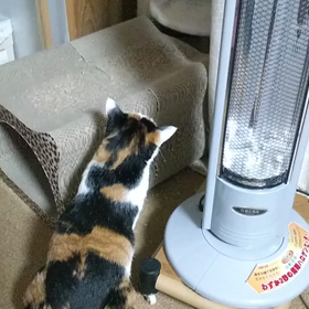 久々更新の画像