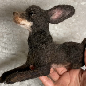 ミニチュアピンシャー　ミキティ君の画像