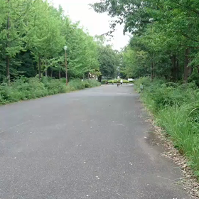 100m記録会 ５年男子１位の画像