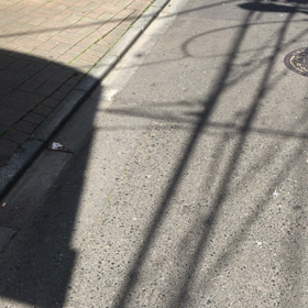 4/5 金曜日の画像