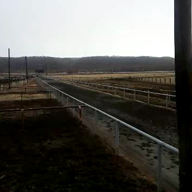 スターオブジュリア(仮)の画像