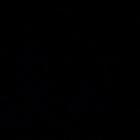 動画！花火の画像