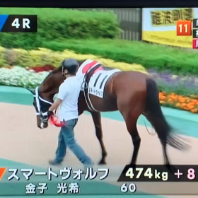 6/8(土) 粕谷厩舎の画像